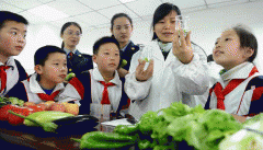 <b>食物平安法令的实施是一个程</b>